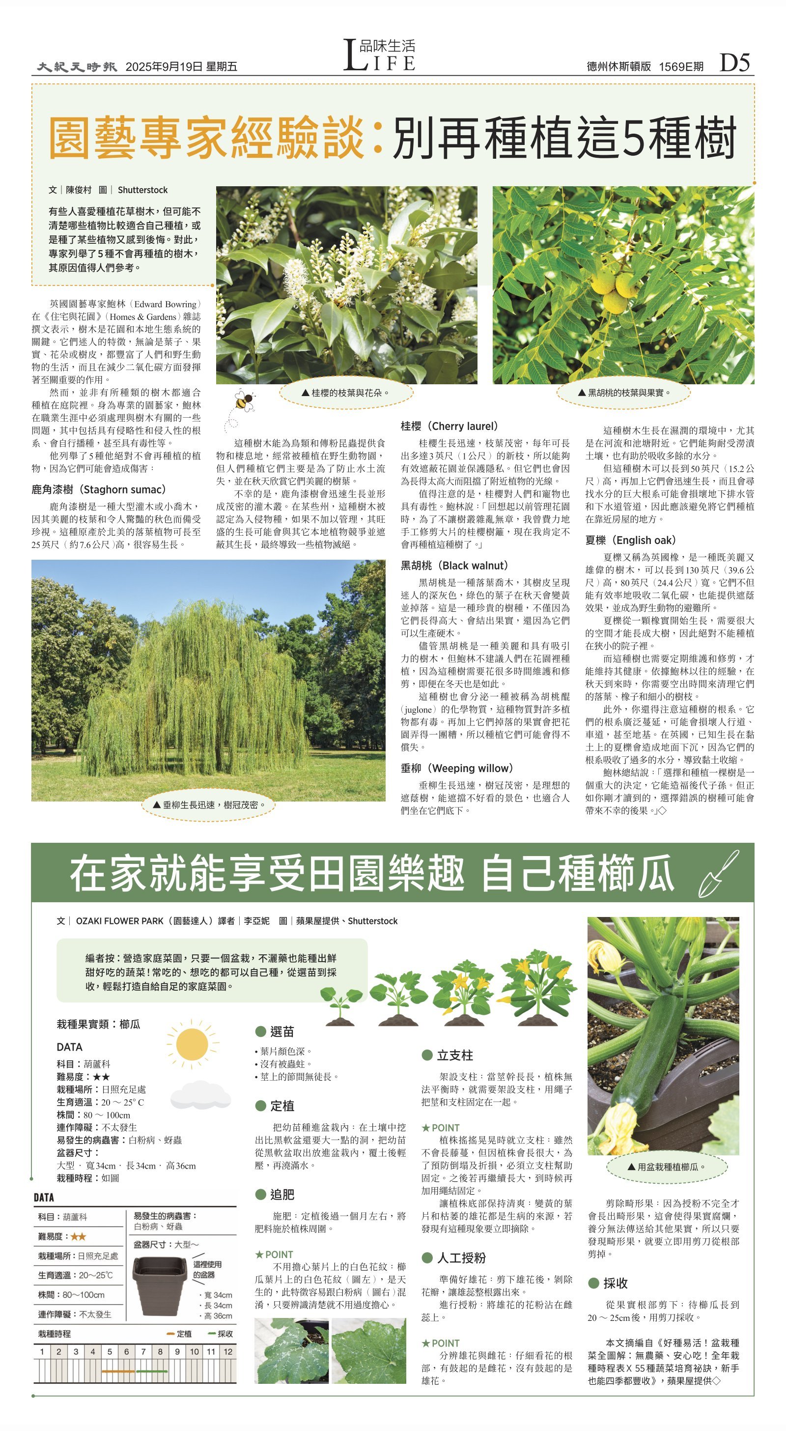 djyhou_`1569E_20250919_29.jpg
