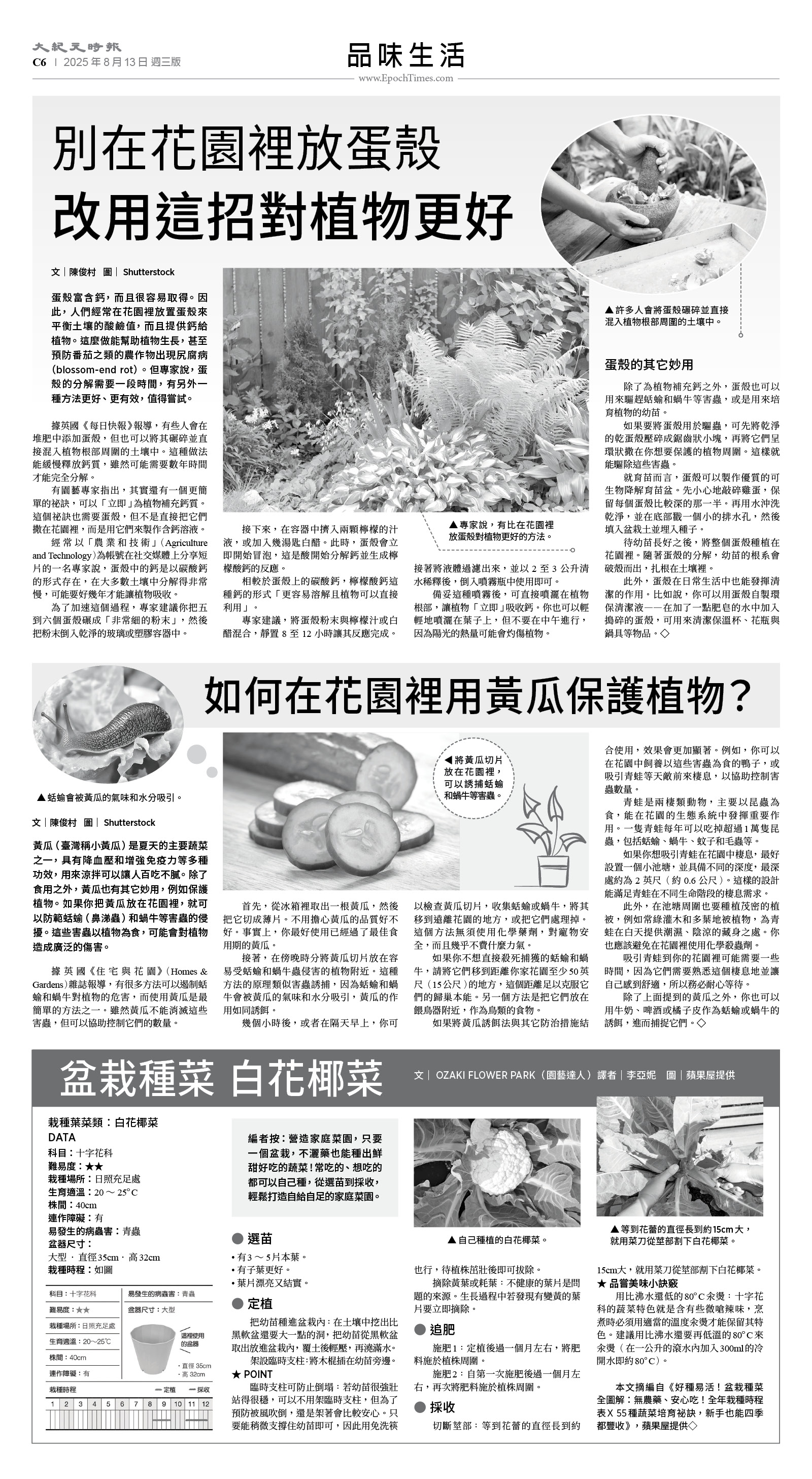 usEast_1564C_C06_BW.jpg