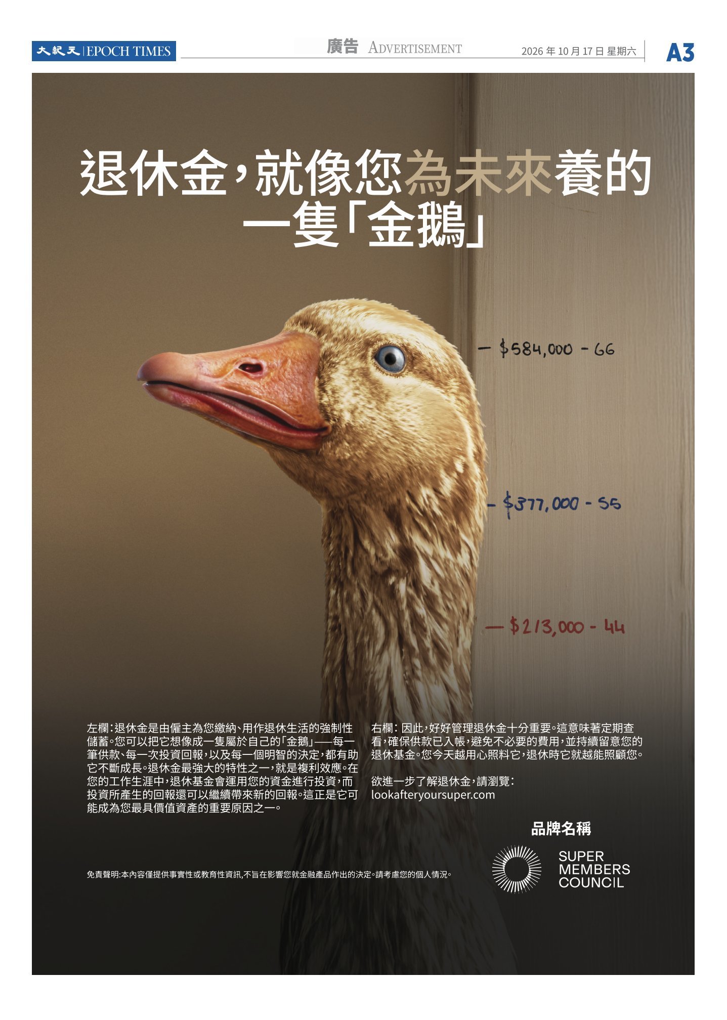 djyper_815_20261017_03.jpg