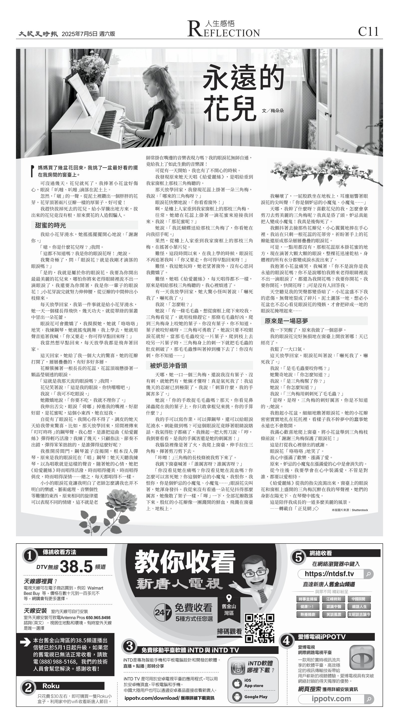djysfo_1558F_20250705_39.jpg
