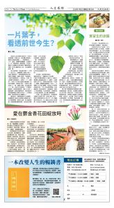 Djyatl_1584 20260102_C04.jpg